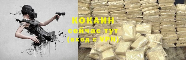 дживик Володарск
