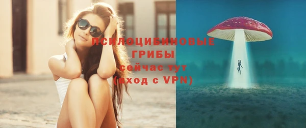дживик Володарск