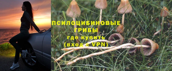 хмурый Волоколамск