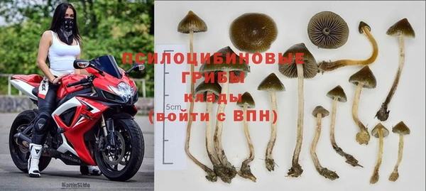 дживик Володарск