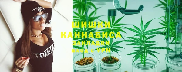 дживик Володарск