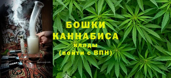дживик Володарск